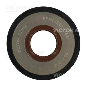 VICTOR REINZ 811065200