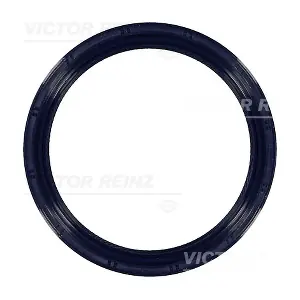 81-53332-00 VICTOR REINZ