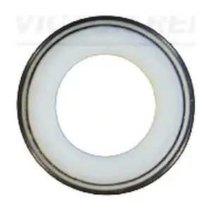 70-20423-00 VICTOR REINZ