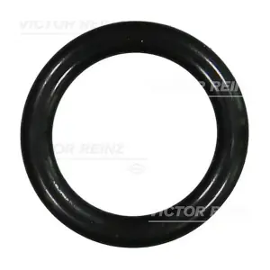 VICTOR REINZ 407624000