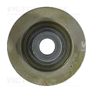70-53438-00 VICTOR REINZ