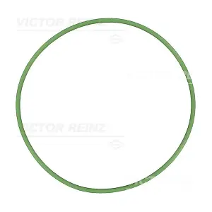 40-76930-20 VICTOR REINZ