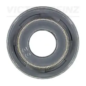VICTOR REINZ 705367800