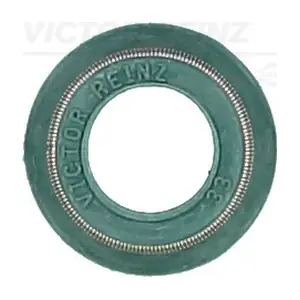 70-25247-00 VICTOR REINZ