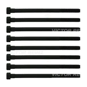 14-10276-02 VICTOR REINZ