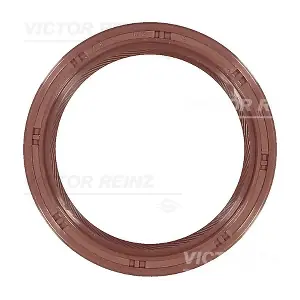 81-53498-00 VICTOR REINZ