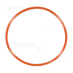 71-33931-00 VICTOR REINZ