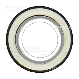 VICTOR REINZ 81-10559-00