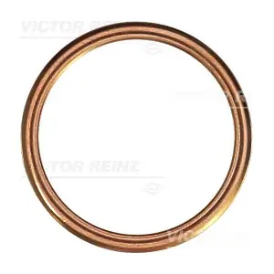 41-72053-30 VICTOR REINZ