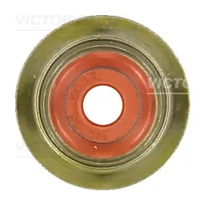 70-35172-00 VICTOR REINZ