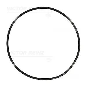 40-76850-00 VICTOR REINZ