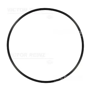 40-76251-00 VICTOR REINZ