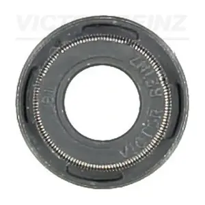 70-54196-00 VICTOR REINZ