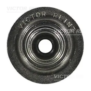70-38226-00 VICTOR REINZ
