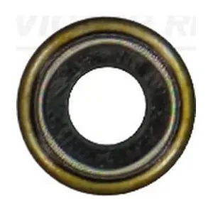 70-36206-00 VICTOR REINZ