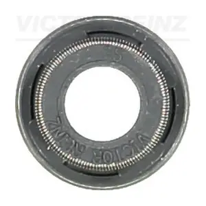 VICTOR REINZ 705395700