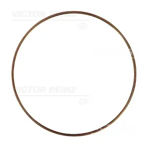 41-72123-30 VICTOR REINZ