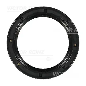 811585500 VICTOR REINZ