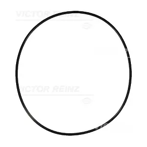 40-76905-00 VICTOR REINZ