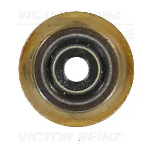 VICTOR REINZ 701925500
