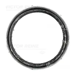 71-10617-00 VICTOR REINZ