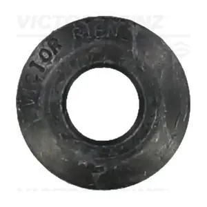 70-33589-00 VICTOR REINZ