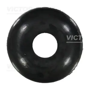 VICTOR REINZ 702156900