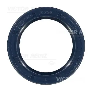 81-26244-00 VICTOR REINZ