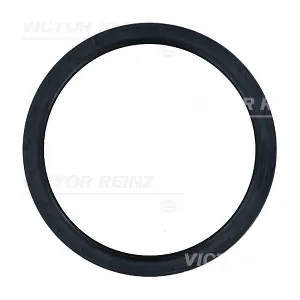 81-31596-00 VICTOR REINZ