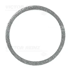 41-71062-00 VICTOR REINZ