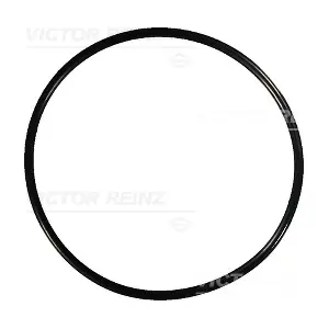 40-76741-00 VICTOR REINZ