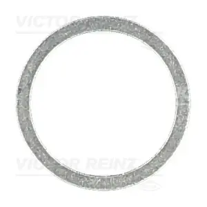 417105300 VICTOR REINZ
