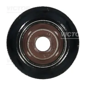 70-36866-00 VICTOR REINZ