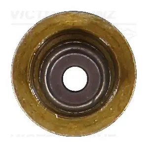 VICTOR REINZ 703762100
