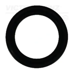 40-76021-00 VICTOR REINZ