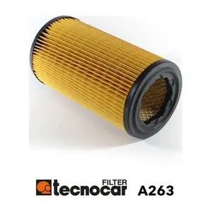A263 TECNOCAR