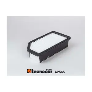 A2565 TECNOCAR
