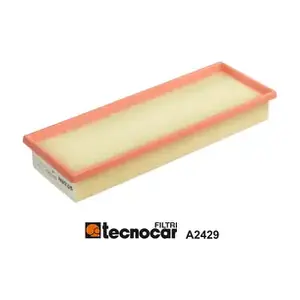 A2429 TECNOCAR