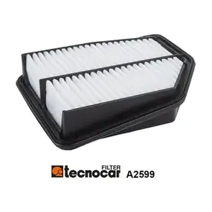 A2599 TECNOCAR