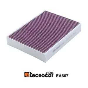 EA667 TECNOCAR