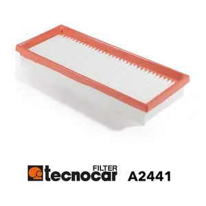 TECNOCAR A2441