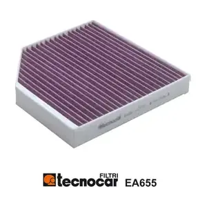 EA655 TECNOCAR