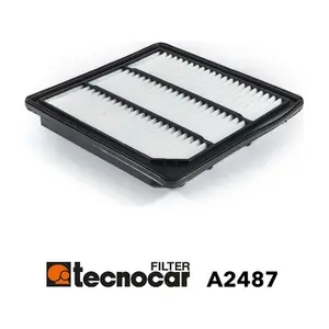 A2487 TECNOCAR