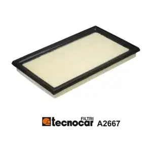 A2667 TECNOCAR