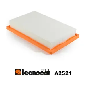 TECNOCAR A2521