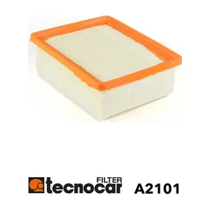 TECNOCAR A 2101