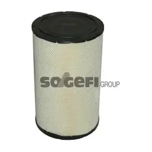 SogefiPro FLI6895