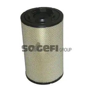 FLI9098 SogefiPro