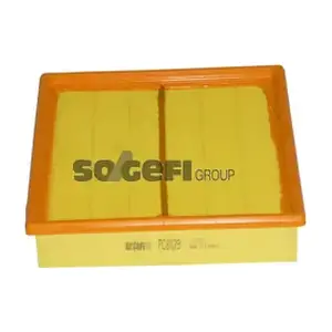 PC8029 SogefiPro