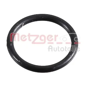METZGER AUTOTEILE 2430081